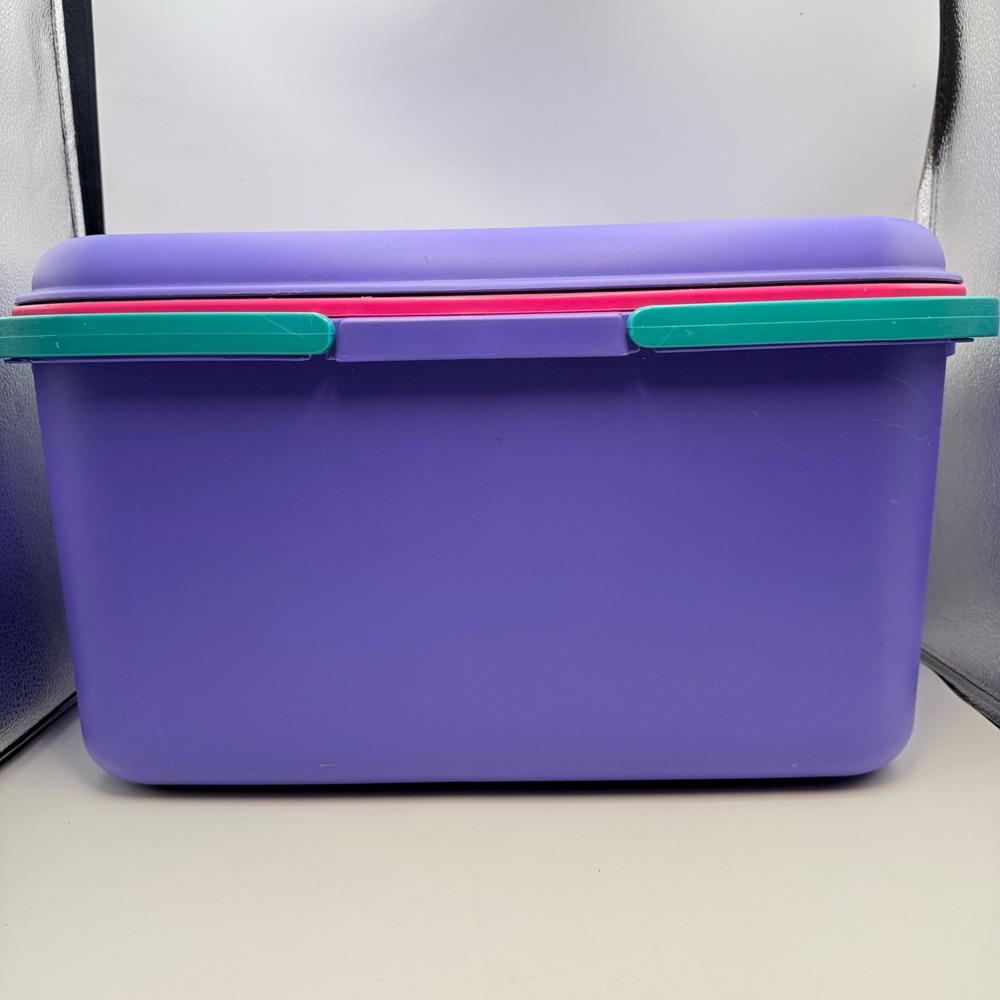 Vintage Eagle Purple Pink Teal Storage Chest with Tray 90s Retro Organizer